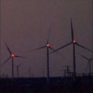 Meet your Posher, Hayley